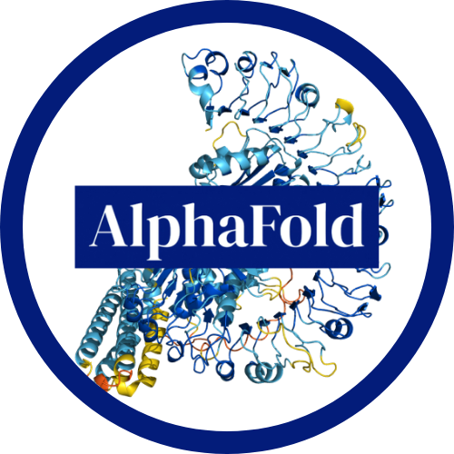 𝗔𝗹𝗽𝗵𝗮𝗙𝗼𝗹𝗱 : 𝗹’𝗜𝗔 𝗾𝘂𝗶 𝗳𝗮𝗶𝘁 𝗮𝘃𝗮𝗻𝗰𝗲𝗿 𝗹𝗮 𝘀𝗰𝗶𝗲𝗻𝗰𝗲