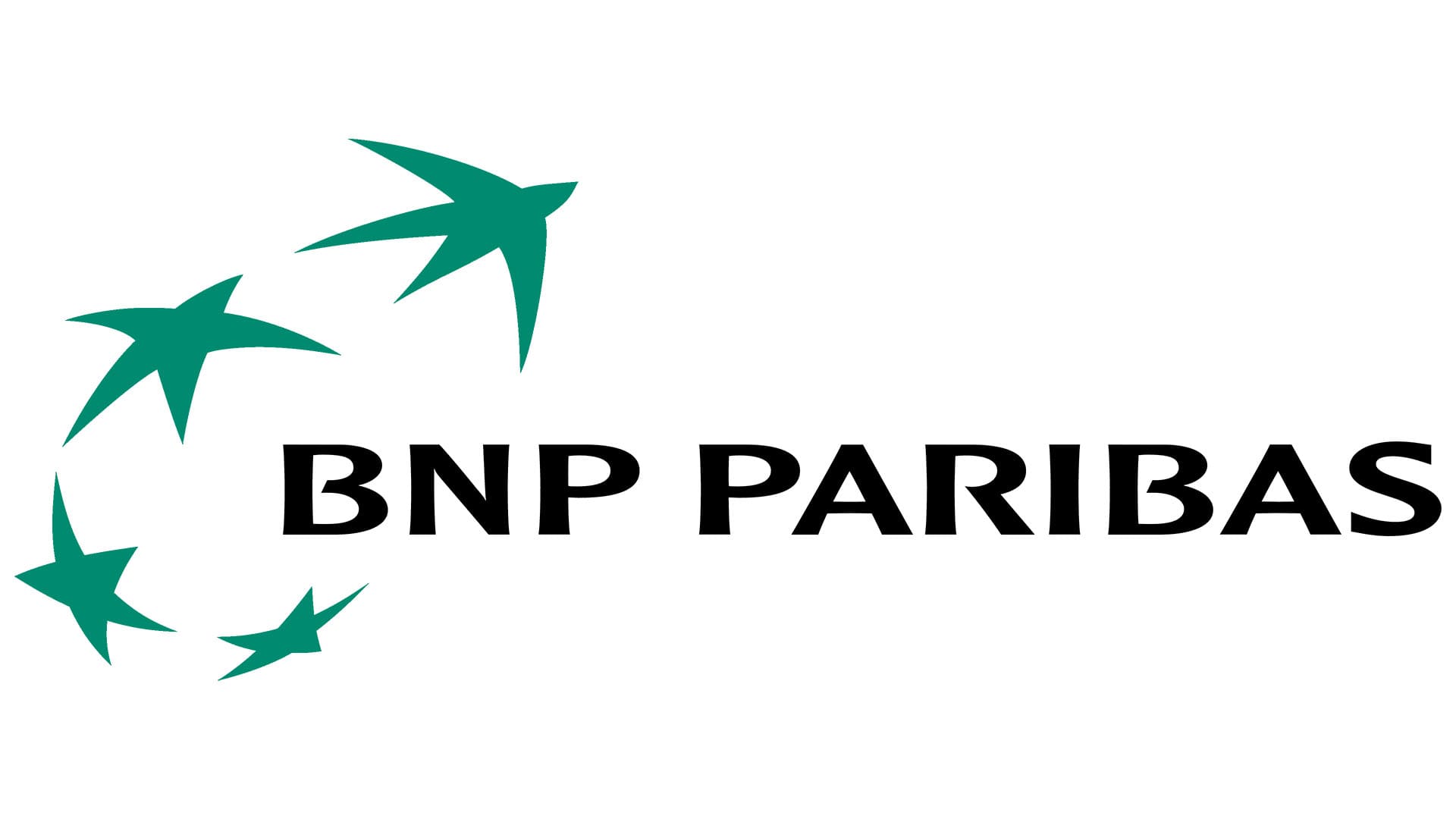 Logo Consultant Oracle BI – BNP