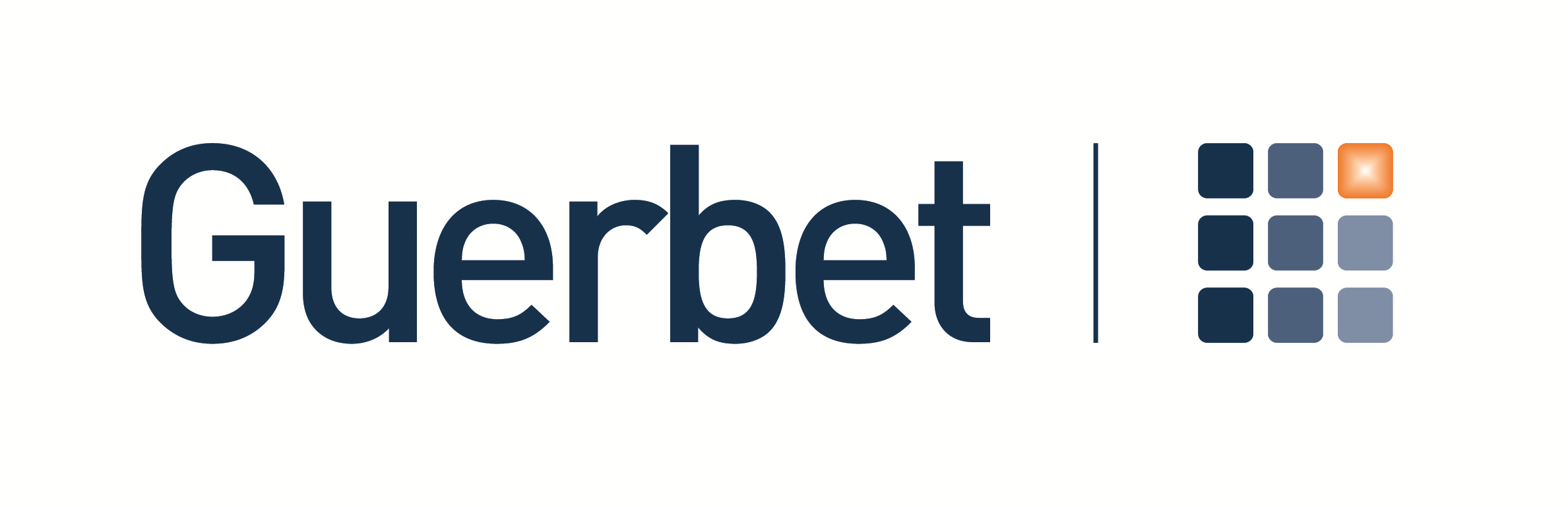 Logo Consultant Migration SAP – Guerbet
